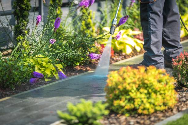 Best Parking Lot Cleaning in Inver Grove Heights, MN